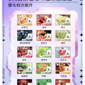 XIAOKE 可替換式電子煙 (對應 RELX6代)